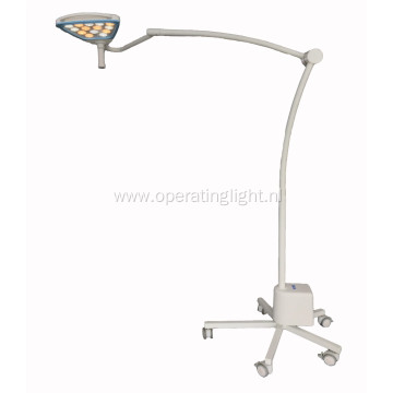 Portable beauty examination lamp